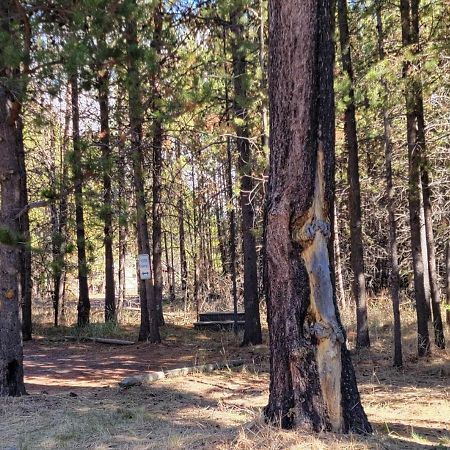 Diamondstone Guest Lodges La Pine Zewnętrze zdjęcie